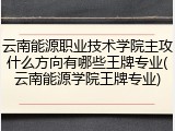 云南能源职业技术学院主攻什么方向有哪些王牌专业(云南能源学院王牌专业)