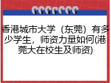 香港城市大学（东莞）有多少学生，师资力量如何(港莞大在校生及师资)