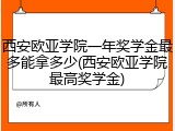 西安欧亚学院一年奖学金最多能拿多少(西安欧亚学院最高奖学金)