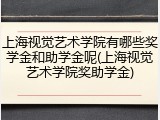 上海视觉艺术学院有哪些奖学金和助学金呢(上海视觉艺术学院奖助学金)