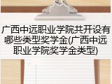 广西中远职业学院共开设有哪些类型奖学金(广西中远职业学院奖学金类型)