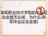 阜阳职业技术学院的毕业证含金量怎么样，为什么(阜阳毕业证含金量)