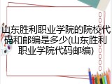 山东胜利职业学院的院校代码和邮编是多少(山东胜利职业学院代码邮编)