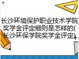 长沙环境保护职业技术学院奖学金评定细则是怎样的(长沙环保学院奖学金评定)