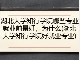 湖北大学知行学院哪些专业就业前景好，为什么(湖北大学知行学院好就业专业)