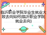 临沂职业学院毕业生就业大致去向如何(临沂职业学院就业去向)
