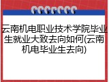 云南机电职业技术学院毕业生就业大致去向如何(云南机电毕业生去向)