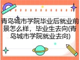 青岛城市学院毕业后就业前景怎么样，毕业生去向(青岛城市学院就业去向)