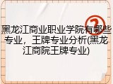 黑龙江商业职业学院有哪些专业，王牌专业分析(黑龙江商院王牌专业)
