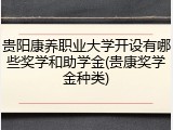 贵阳康养职业大学开设有哪些奖学和助学金(贵康奖学金种类)