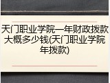 天门职业学院一年财政拨款大概多少钱(天门职业学院年拨款)