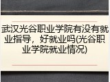 武汉光谷职业学院有没有就业指导，好就业吗(光谷职业学院就业情况)