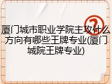 厦门城市职业学院主攻什么方向有哪些王牌专业(厦门城院王牌专业)