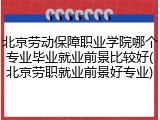 北京劳动保障职业学院哪个专业毕业就业前景比较好(北京劳职就业前景好专业)