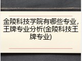 金陵科技学院有哪些专业，王牌专业分析(金陵科技王牌专业)
