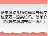 哈尔滨幼儿师范高等专科学校是双一流高校吗，简单介绍(哈尔滨幼专双一流？)