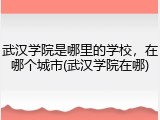 武汉学院是哪里的学校，在哪个城市(武汉学院在哪)