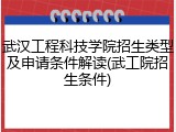 武汉工程科技学院招生类型及申请条件解读(武工院招生条件)