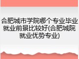 合肥城市学院哪个专业毕业就业前景比较好(合肥城院就业优势专业)