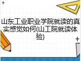 山东工业职业学院就读的真实感觉如何(山工院就读体验)