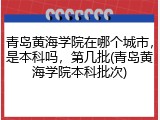 青岛黄海学院在哪个城市，是本科吗，第几批(青岛黄海学院本科批次)