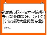 宁波城市职业技术学院哪些专业就业前景好，为什么(宁波城院就业优势专业)
