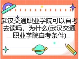武汉交通职业学院可以自考去读吗，为什么(武汉交通职业学院自考条件)