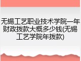 无锡工艺职业技术学院一年财政拨款大概多少钱(无锡工艺学院年拨款)