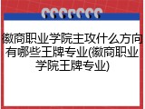 徽商职业学院主攻什么方向有哪些王牌专业(徽商职业学院王牌专业)