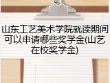 山东工艺美术学院就读期间可以申请哪些奖学金(山艺在校奖学金)