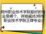 朔州职业技术学院最好的专业是哪个，详细阐述(朔州职业技术学院王牌专业)