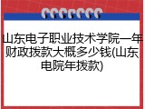 山东电子职业技术学院一年财政拨款大概多少钱(山东电院年拨款)