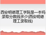 西安明德理工学院是一本吗录取分数线多少(西安明德理工录取线)