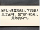 深圳北理莫斯科大学师资力量怎么样，名气如何(深北莫师资名气)