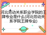 河北劳动关系职业学院的王牌专业是什么(河北劳动关系学院王牌专业)
