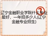 辽宁金融职业学院什么专业最好，一年招多少人(辽宁金融专业招生)