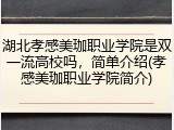 湖北孝感美珈职业学院是双一流高校吗，简单介绍(孝感美珈职业学院简介)