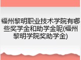 福州黎明职业技术学院有哪些奖学金和助学金呢(福州黎明学院奖助学金)