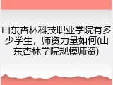 山东杏林科技职业学院有多少学生，师资力量如何(山东杏林学院规模师资)