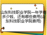 山东科技职业学院一年学费多少钱，还有哪些费用(山东科技职业学院费用)