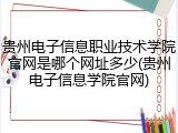 贵州电子信息职业技术学院官网是哪个网址多少(贵州电子信息学院官网)