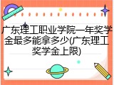 广东理工职业学院一年奖学金最多能拿多少(广东理工奖学金上限)