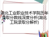 湖北工业职业技术学院历年录取分数线深度分析(湖北工院录取分解析)