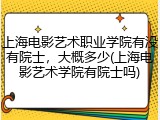 上海电影艺术职业学院有没有院士，大概多少(上海电影艺术学院有院士吗)