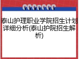 泰山护理职业学院招生计划详细分析(泰山护院招生解析)