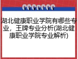 湖北健康职业学院有哪些专业，王牌专业分析(湖北健康职业学院专业解析)