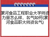 漯河食品工程职业大学师资力量怎么样，名气如何(漯河食品职大师资名气)