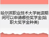 哈尔滨职业技术大学就读期间可以申请哪些奖学金(哈职大奖学金种类)