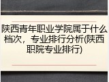 陕西青年职业学院属于什么档次，专业排行分析(陕西职院专业排行)