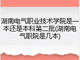 湖南电气职业技术学院是一本还是本科第二批(湖南电气职院是几本)